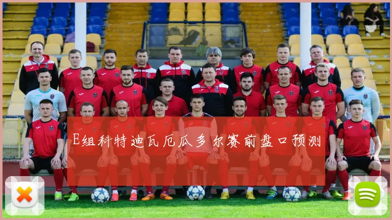 E组科特迪瓦厄瓜多尔赛前盘口预测