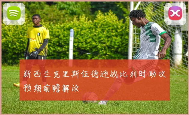 新西兰克里斯伍德迎战比利时助攻预期前瞻解读