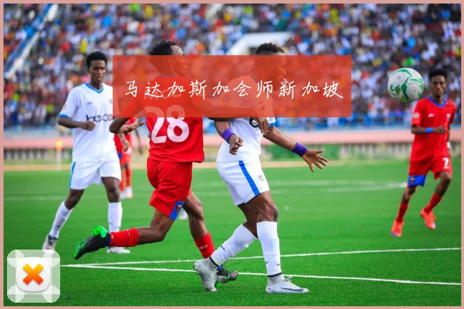 马达加斯加会师新加坡