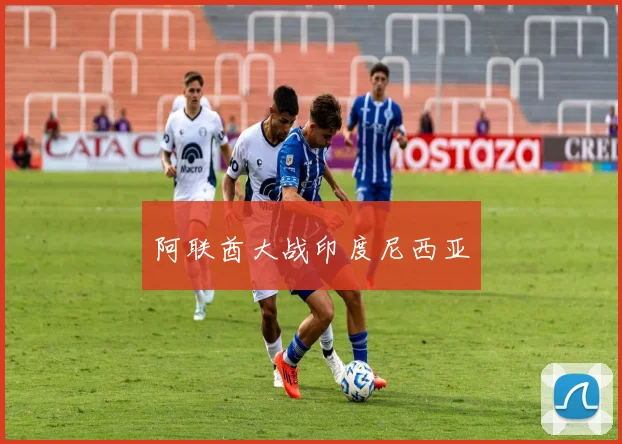 阿联酋大战印度尼西亚