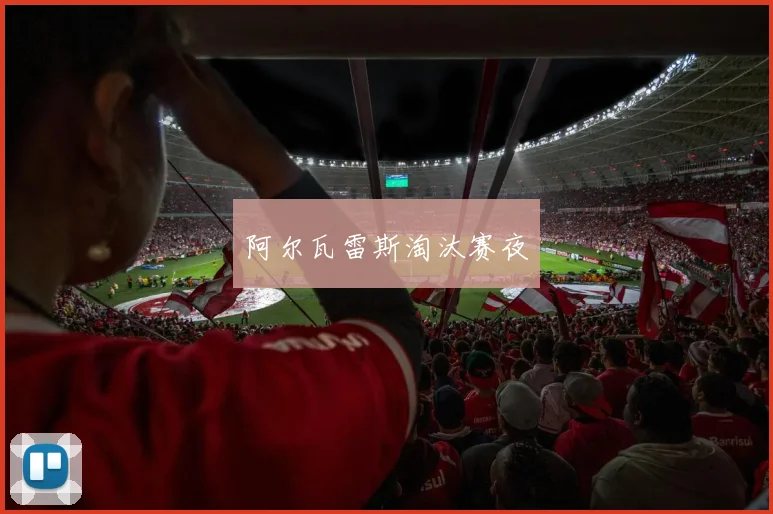 阿尔瓦雷斯淘汰赛夜