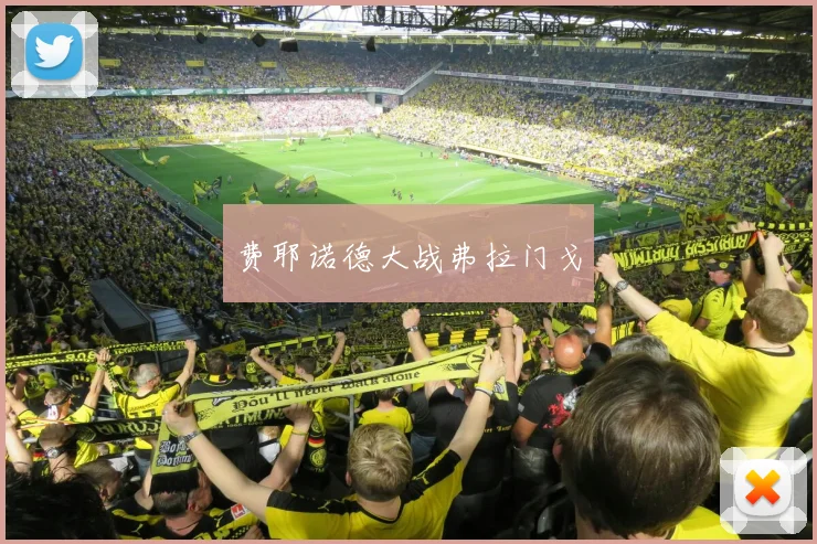 费耶诺德大战弗拉门戈