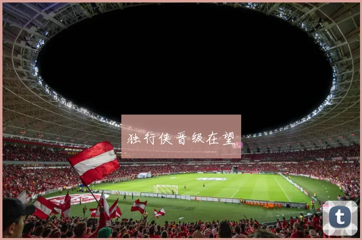 独行侠晋级在望