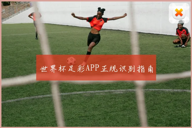 世界杯足彩APP正规识别指南