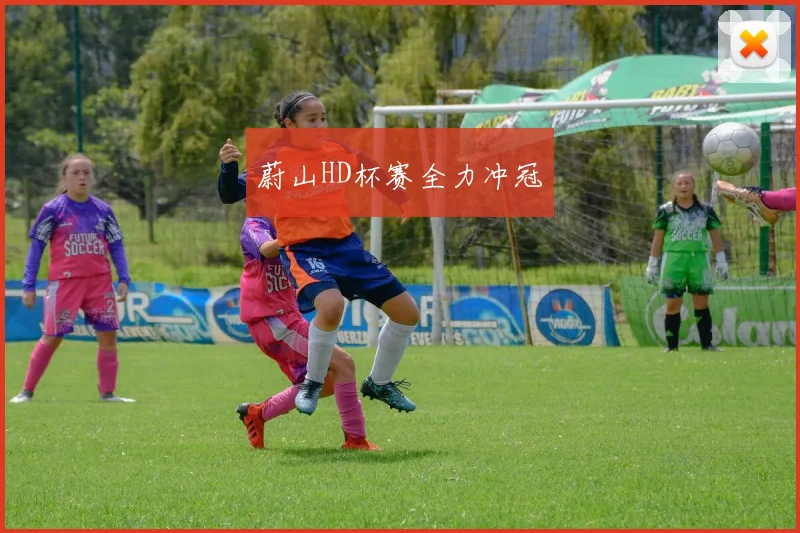 蔚山HD杯赛全力冲冠