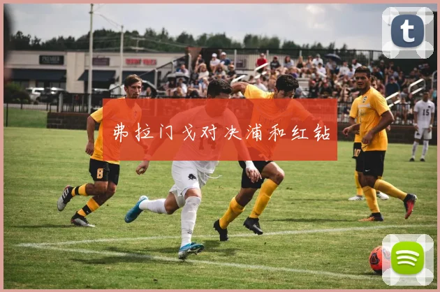 弗拉门戈对决浦和红钻
