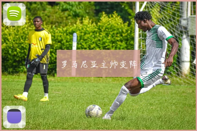 罗马尼亚主帅变阵