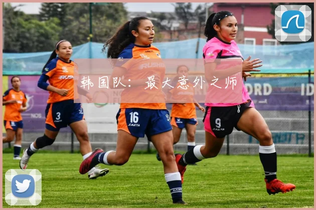 韩国队：最大意外之师