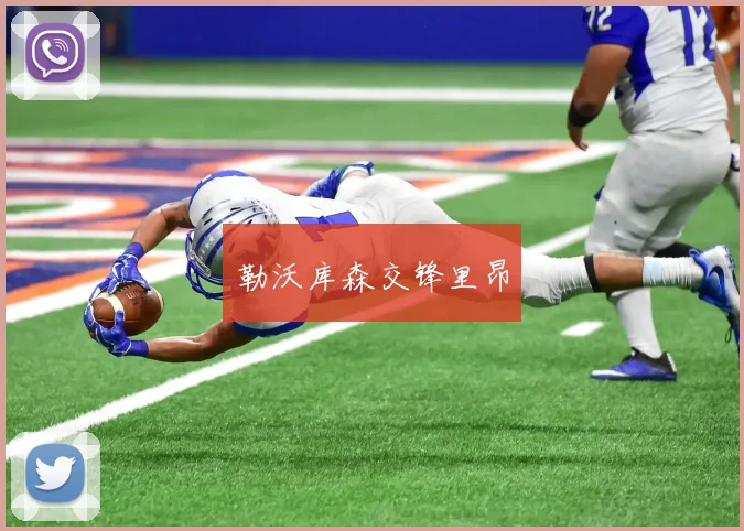 勒沃库森交锋里昂