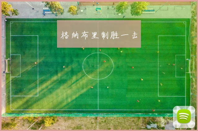 格纳布里制胜一击