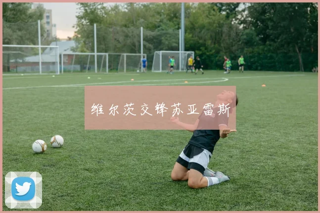 维尔茨交锋苏亚雷斯