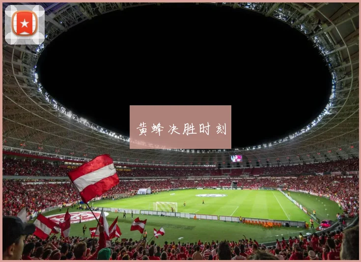 黄蜂决胜时刻