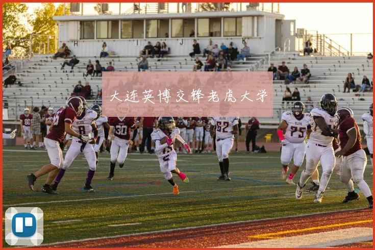 大连英博交锋老虎大学