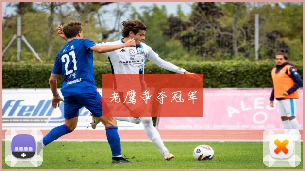 老鹰争夺冠军