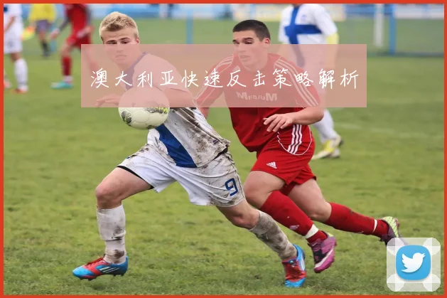 澳大利亚快速反击策略解析