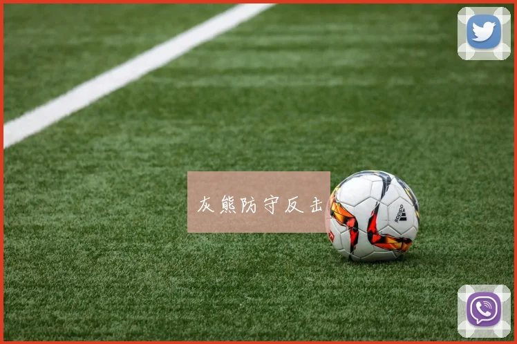 灰熊防守反击