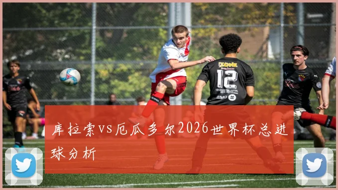 库拉索vs厄瓜多尔2026世界杯总进球分析