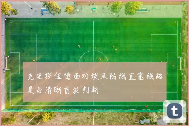 克里斯伍德面对埃及防线直塞线路是否清晰首发判断