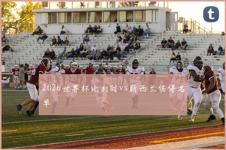 2026世界杯比利时vs新西兰伤停名单