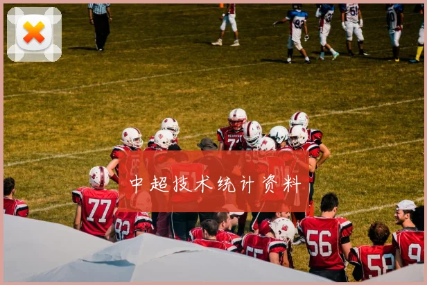 中超技术统计资料